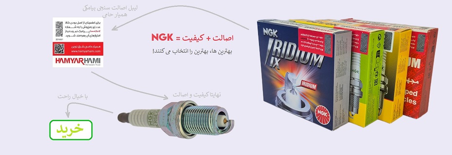 فروشگاه اینترنتی NGK